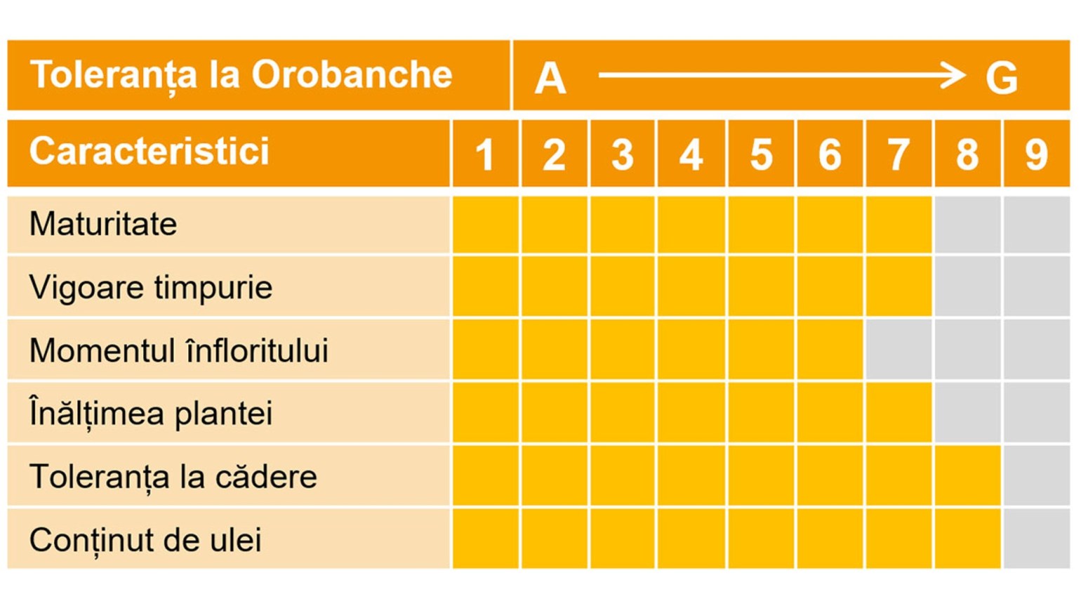2024_02_insun_222_caracteristici_1540x866.jpg 2024_02_insun_222_caracteristici_1540x866.jpg