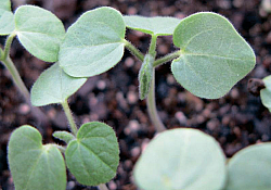 2017_01_teisor.jpg 2017_01_teisor.jpg