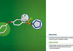 revyona-eficacitate.jpg revyona-eficacitate.jpg