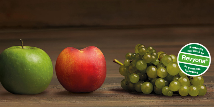 Revyona - noul fungicid din grupa triazolilor cu eficacitate excelentă pentru noi standarde de calitate