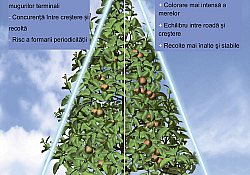 2017_02_Regalis-Plus-2.jpg 2017_02_Regalis-Plus-2.jpg