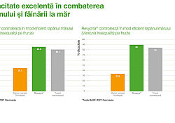 revyona-control-rapan.jpg revyona-control-rapan.jpg