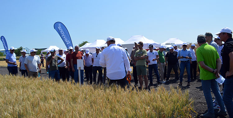 alt_Seminar BASF despre protecția culturilor cerealiere și tehnice în condițiile anului 2023