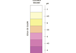 2019_11_Vyper-culoare2.jpg 2019_11_Vyper-culoare2.jpg