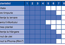 2024_07_caracteristici-hibrid-rapita-invigor-1266CL_1200x675.jpg 2024_07_caracteristici-hibrid-rapita-invigor-1266CL_1200x675.jpg
