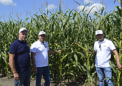 2021_08_lidea9.jpg 2021_08_lidea9.jpg