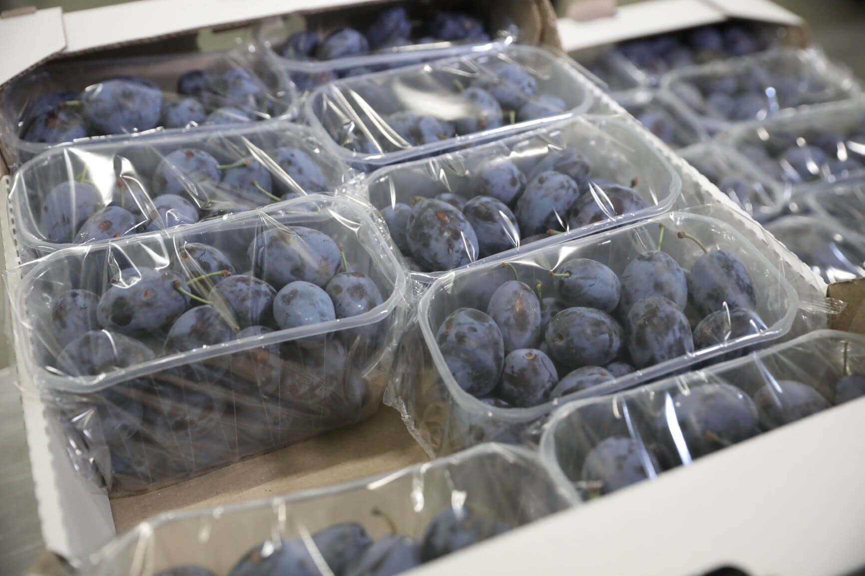 Primul echipament de ambalare flow pack a fructelor și strugurilor pentru export lansat la Costești cu suportul USAID