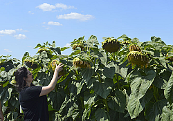 2021_08_lidea7.jpg 2021_08_lidea7.jpg