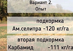 2022_03_foto14.jpg 2022_03_foto14.jpg