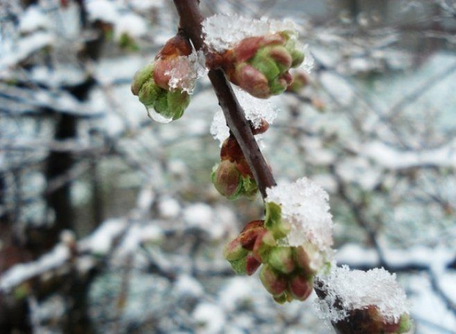 Meteorologii au emis un nou cod de înghețuri. Când intră în vigoare alerta?