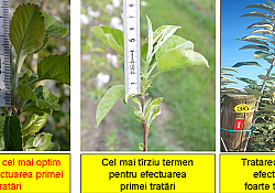 2017_02_Regalis-Plus-3.jpg 2017_02_Regalis-Plus-3.jpg