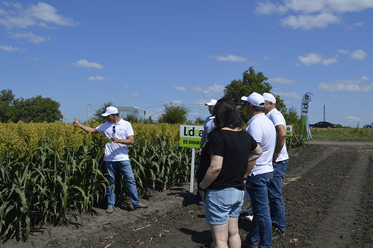 Compania „Lidea” a prezentat la „TehAgroFest-2021” hibrizii de porumb, floarea soarelui și sorg – reportaj foto