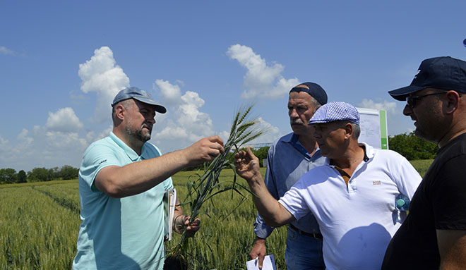 alt_Seminar BASF dedicat culturilor de câmp. Reportaj foto