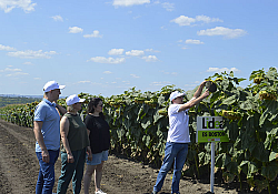 2021_08_lidea6.jpg 2021_08_lidea6.jpg