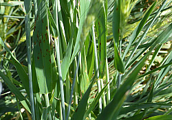 2020_05_orz3.jpg 2020_05_orz3.jpg