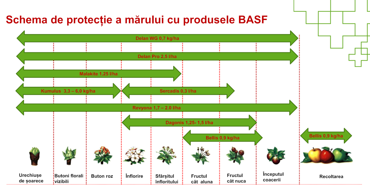 2025_01_protectie-mar2.jpg 2025_01_protectie-mar2.jpg