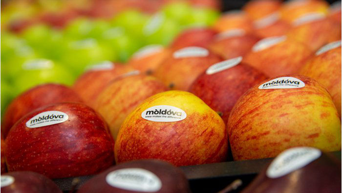 Ce cantități de mere s-au exportat în ultimele 3 luni și în ce țări?