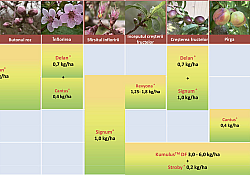 2025_02_schema-piersic2.jpg 2025_02_schema-piersic2.jpg