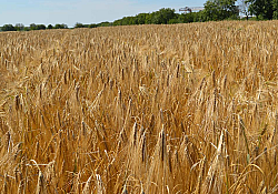 2024_06_multie1.jpg 2024_06_multie1.jpg