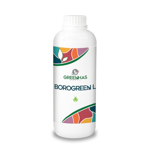BOROGREEN L – Prevenirea carențelor de bor