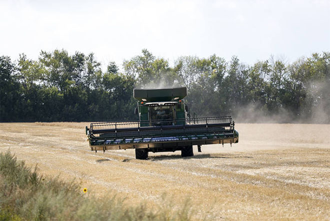 Prețurile la produsele alimentare la nivel mondial au crescut în octombrie