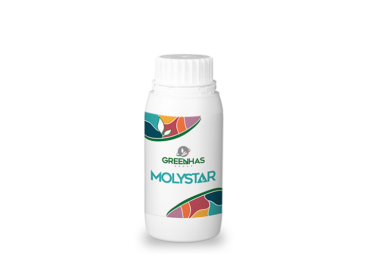 MOLYSTAR – sursă de molibden și controlul vigorii vegetative