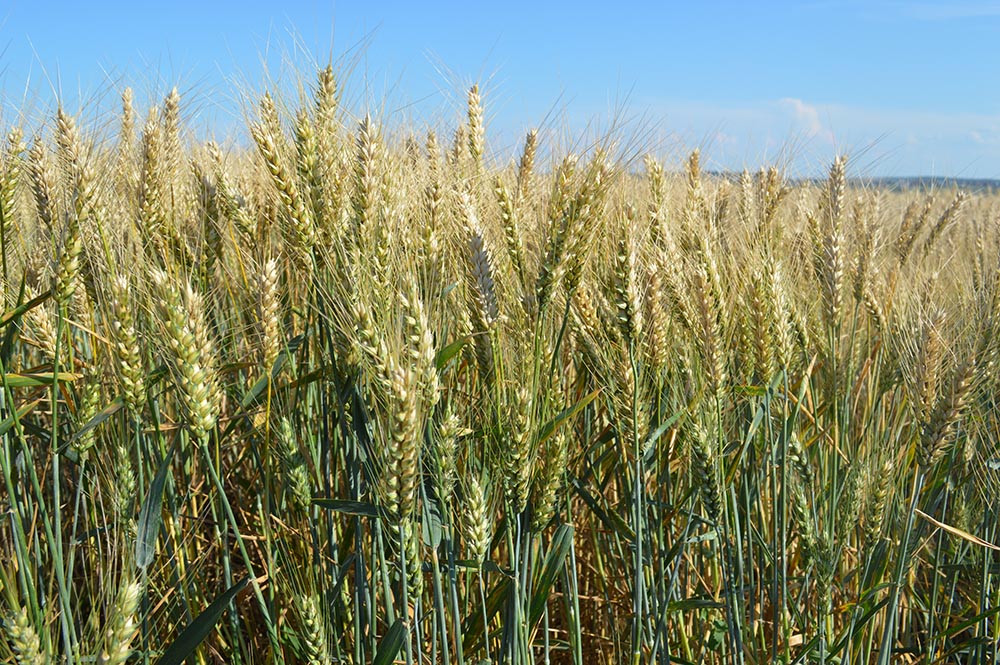 2024_07_winner1.jpg 2024_07_winner1.jpg