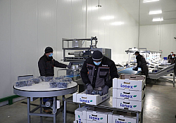 2020_11_prune2.jpg 2020_11_prune2.jpg