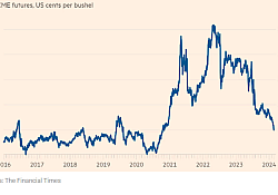2024_03_cotatie-porumb.jpg 2024_03_cotatie-porumb.jpg