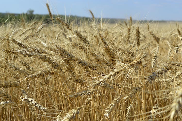 2020_07_medax2.jpg 2020_07_medax2.jpg