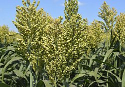 2021_08_lidea4.jpg 2021_08_lidea4.jpg