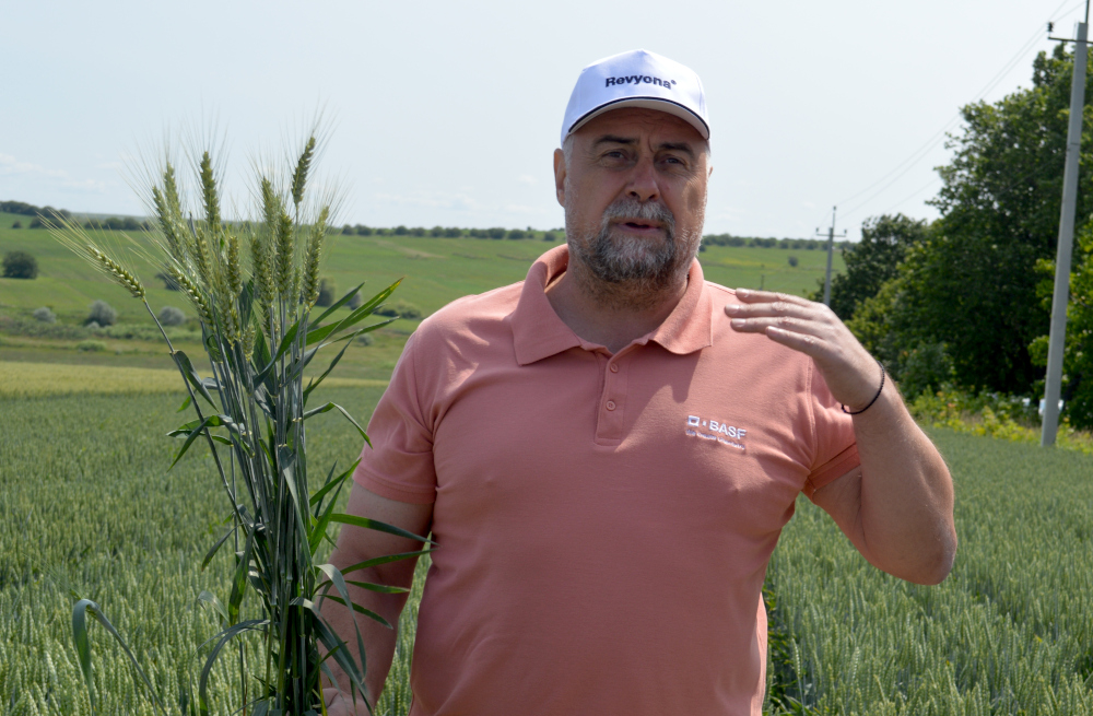 alt_Protecția grâului de toamnă în condițiile anului 2025 în nordul Moldovei