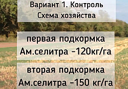 2022_03_foto12.jpg 2022_03_foto12.jpg