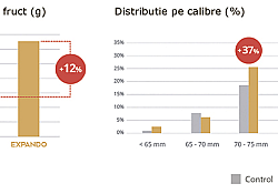 Expando-teste.jpg Expando-teste.jpg