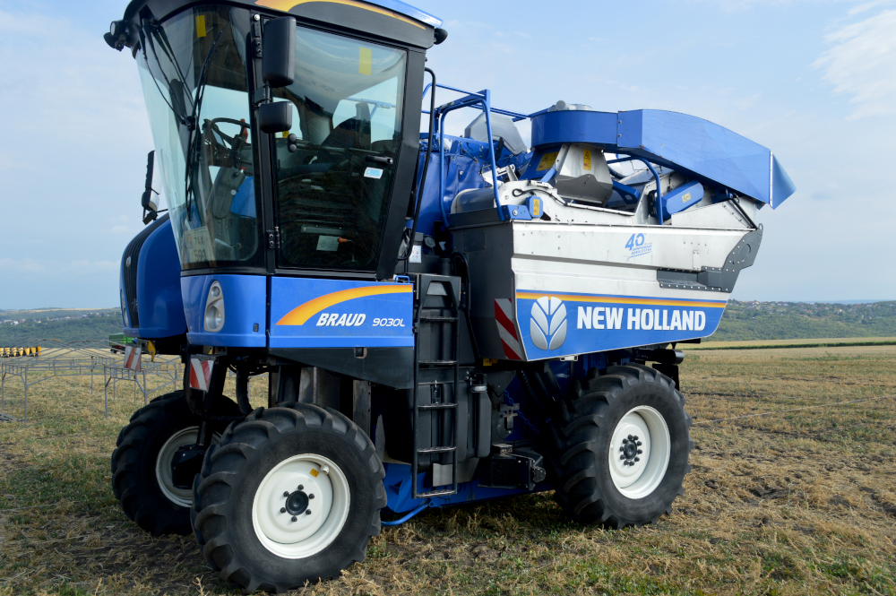 alt_Fotografia zilei - 29 iulie 2025: pregătirile pentru TehAgroFest - 2025 sunt în toi