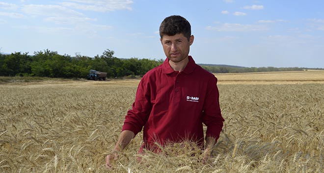 La Cahul s-a început recoltarea grâului de toamnă. Vezi ce rezultat au obținut agricultorii (reportaj foto)