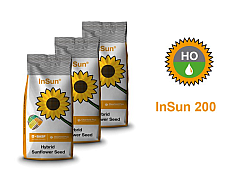 2025_02_insun200-6.jpg 2025_02_insun200-6.jpg