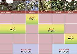 2025_02_prun-schema-2.jpg 2025_02_prun-schema-2.jpg