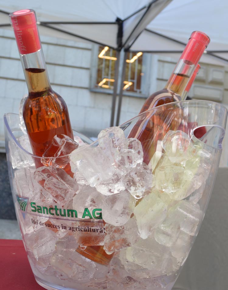 alt_Fotografia zilei – 7 septembrie: Sanctum AG a prezentat „Chardonnay Late Harvest - 2019”