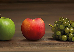 2023_04_revyona2.jpg 2023_04_revyona2.jpg