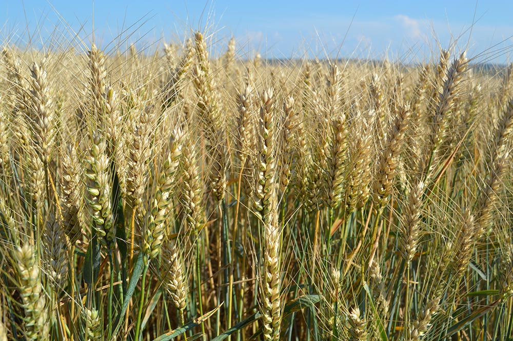 2024_07_winner2.jpg 2024_07_winner2.jpg