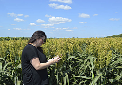 2021_08_lidea3.jpg 2021_08_lidea3.jpg