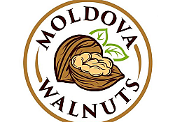 2018_11_nuci-logo.jpg 2018_11_nuci-logo.jpg