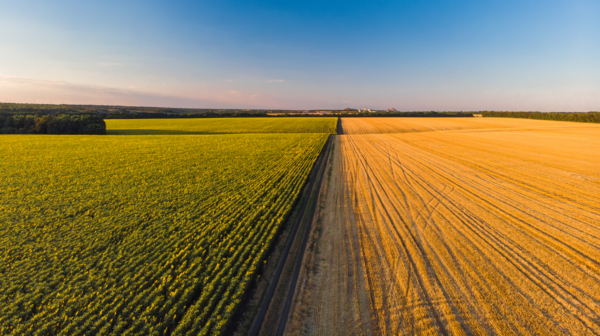 alt_Idei de success </br>în agricultură