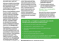2020_05_Sercadis3.jpg