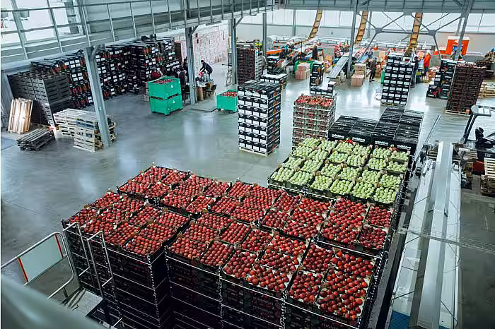 Merele din roada anului 2021 au fost exportate în 25 de țări