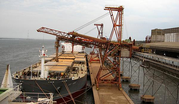 Exporturile de grâu au scăzut cu aproape 60 la sută