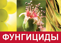 2017_03_fungicide-foto.jpg