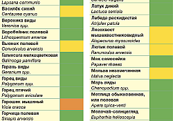 2017_03_Pulsar-40-actiune1.jpg 2017_03_Pulsar-40-actiune1.jpg