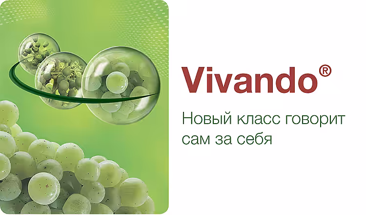 Vivando® - описание и характеристика продукта